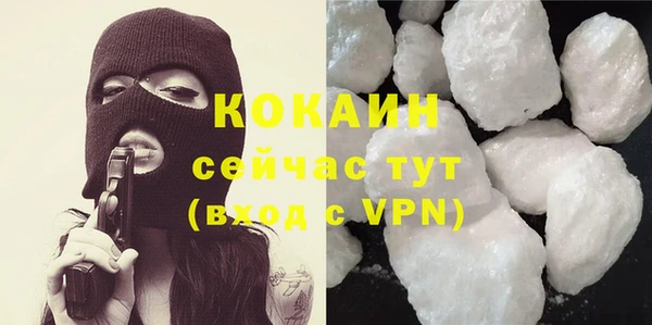 дурь Гусев