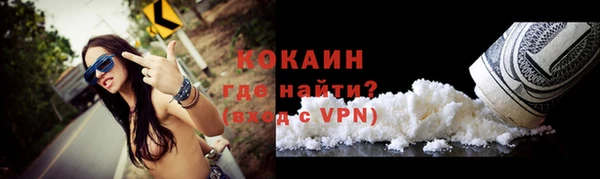 дурь Гусев