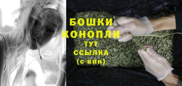 гидропоника Гусиноозёрск