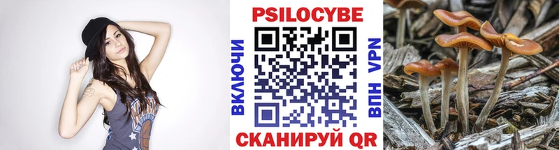 mega tor  Жуковский  Галлюциногенные грибы мицелий 
