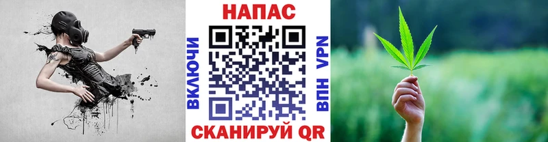 где можно купить   Жуковский  блэк спрут рабочий сайт  Бошки Шишки White Widow 
